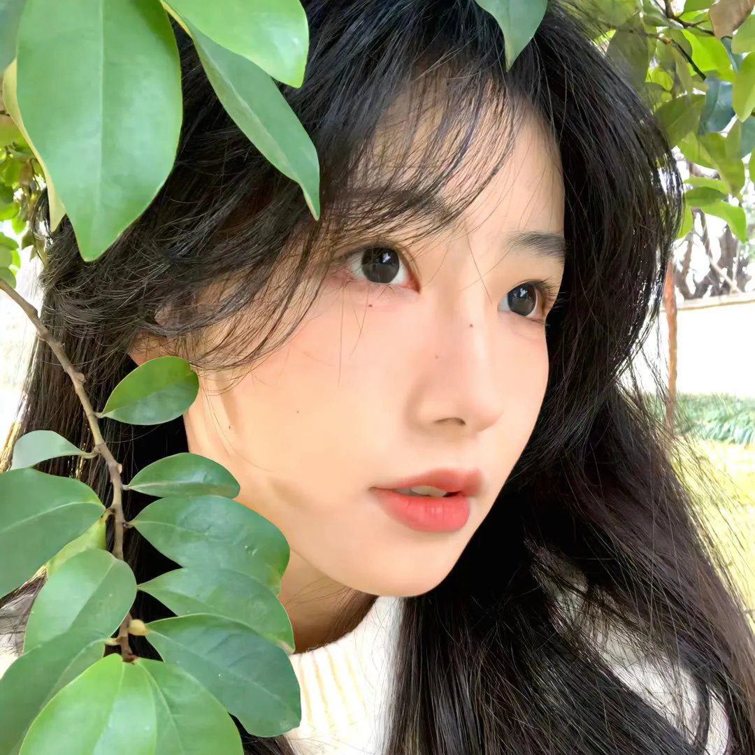 国王的选择